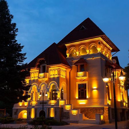Casa Danielescu Ξενοδοχείο Târgu Jiu Εξωτερικό φωτογραφία