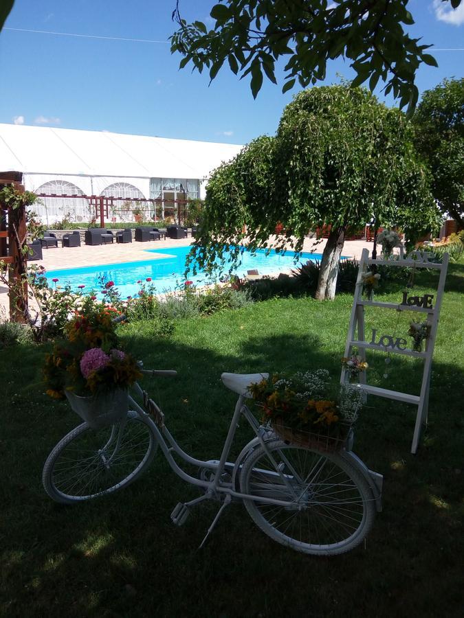 Casa Danielescu Ξενοδοχείο Târgu Jiu Εξωτερικό φωτογραφία