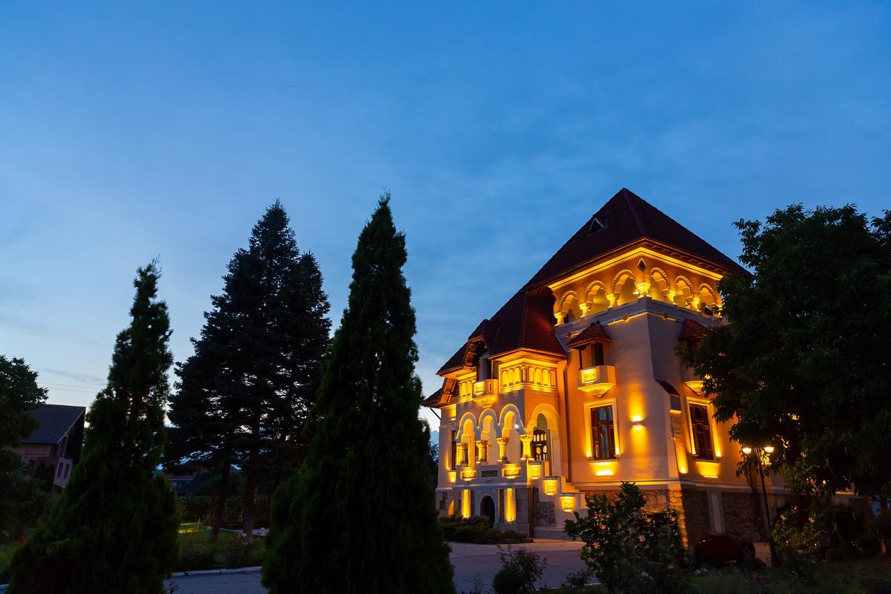 Casa Danielescu Ξενοδοχείο Târgu Jiu Εξωτερικό φωτογραφία