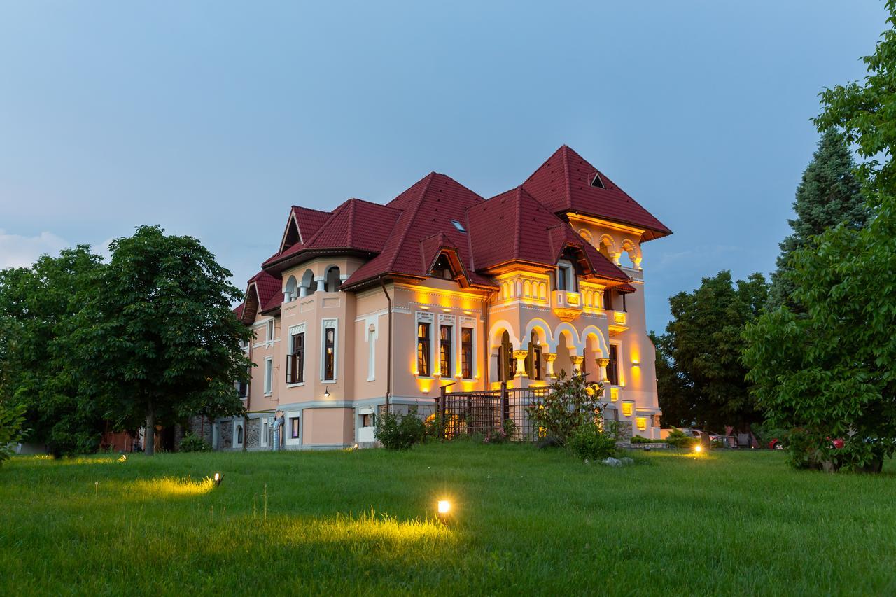 Casa Danielescu Ξενοδοχείο Târgu Jiu Εξωτερικό φωτογραφία